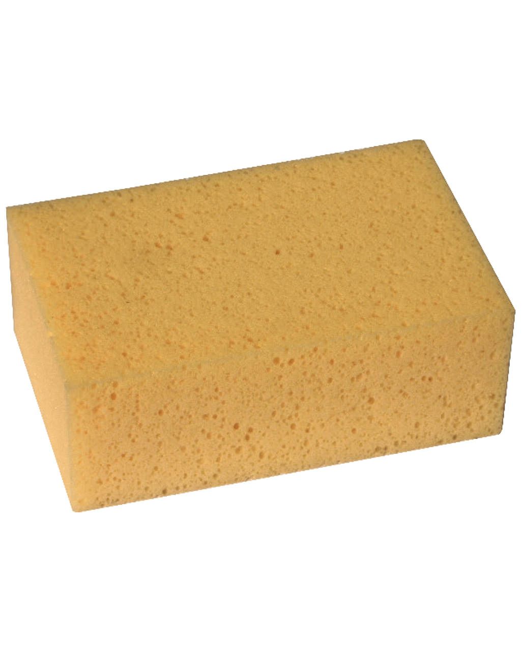 Pro Hydro Sponge
