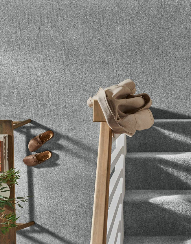 Everyday - French Grey