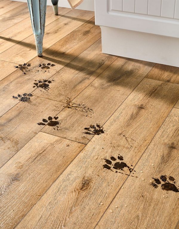 evocore premium natural english oak