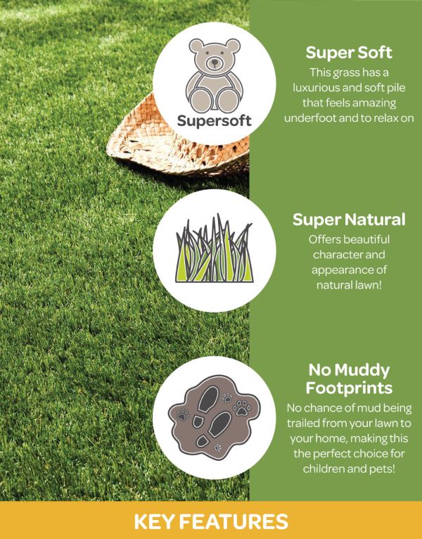 hollywood artificial grass