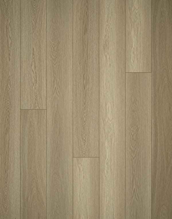 evocore premium longboard natural champagne oak