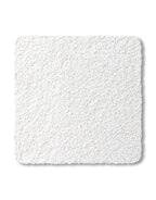 premier snowdrop