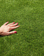 hollywood artificial grass