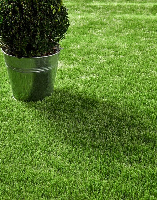 lucerne artificial grass