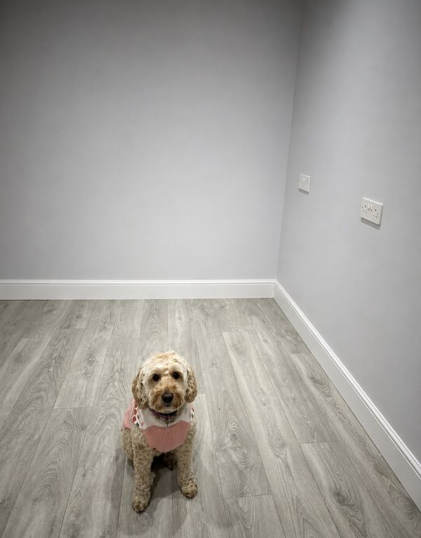moderna pebble oak