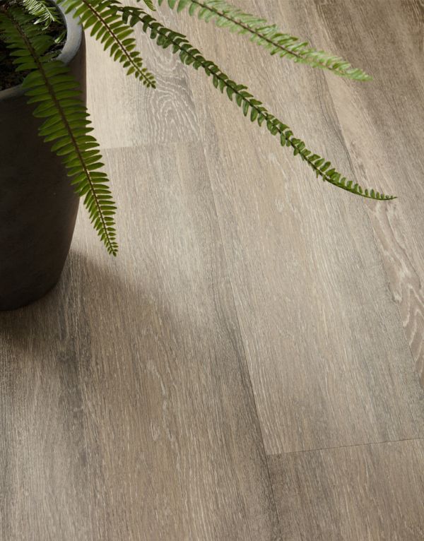 elegance plank sandy cove oak