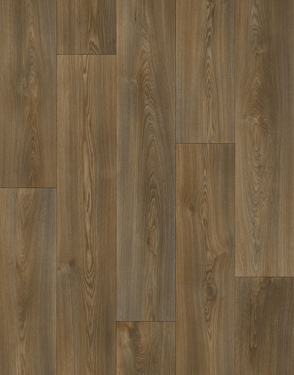 Victoria - Forest Oak