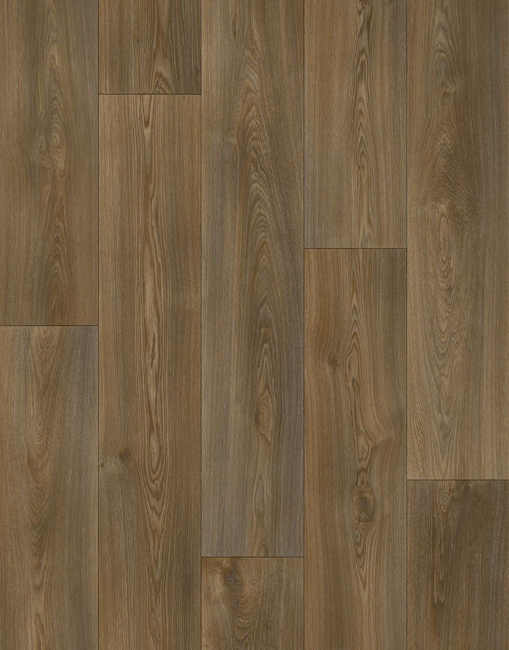 Victoria - Forest Oak [6.50m x 4.00m]